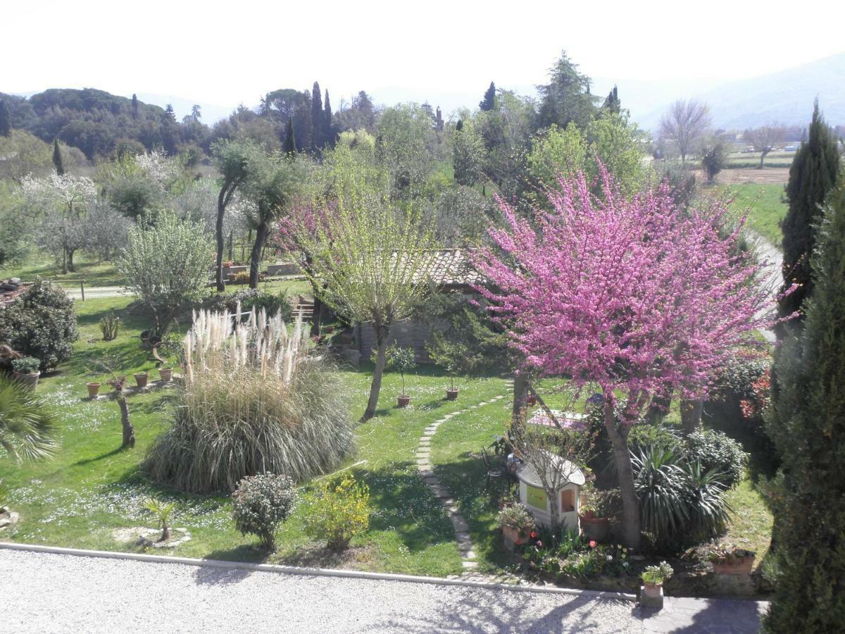 Villa San Marco Cortona Exterior photo